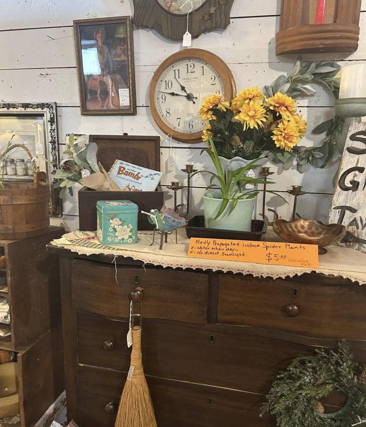 Antique Store Hebron, IL